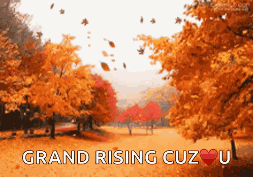Fall Season GIF