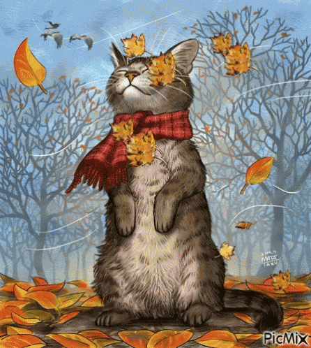 Fall Weather Autumn GIF