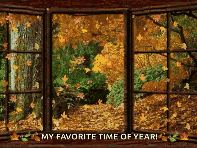 Falling Leaves Changing Leaves GIF