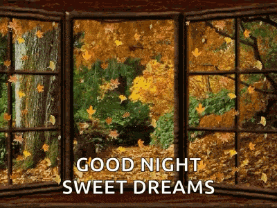 Falling Leaves Changing Leaves GIF