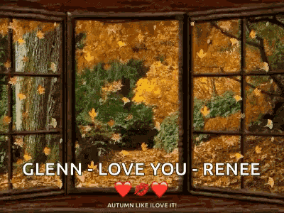 Falling Leaves Changing Leaves GIF
