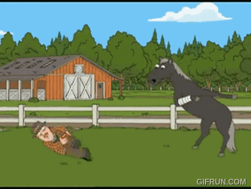 Family Guy Horse GIF