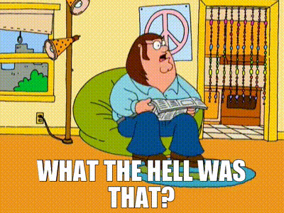 Family Guy What The Hell Was That GIF