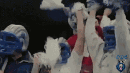 Fans Cheer GIF