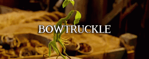 Fantastic Beasts Fantastic Beasts And Where To Find Them GIF