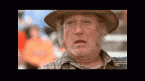 Farmer Fran The Waterboy GIF