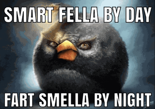 Fart Smella Meme
