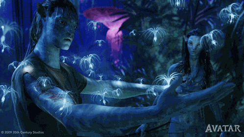 Fascinated By The Lights Jake Sully GIF