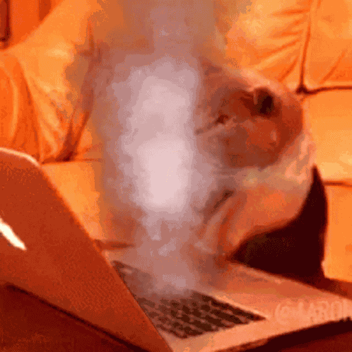 Fast Cat Typing GIF