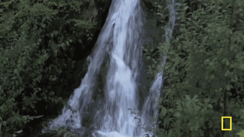 Fast Flowing Water Waterfall GIF