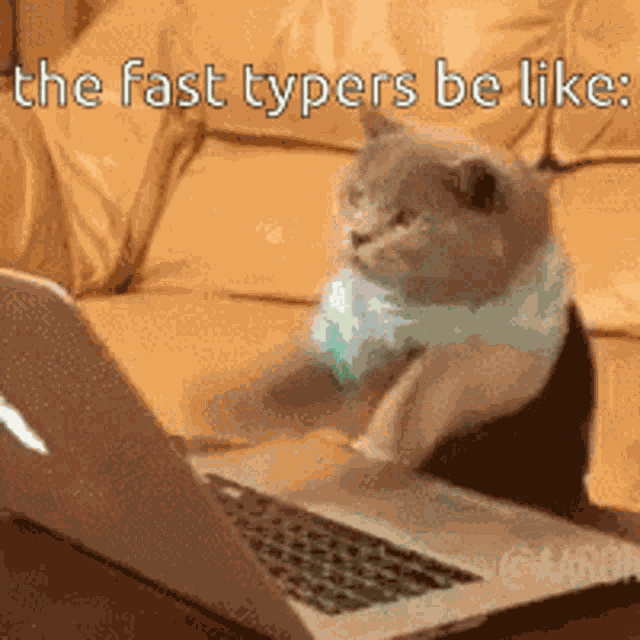 Fast Typer Spamers GIF
