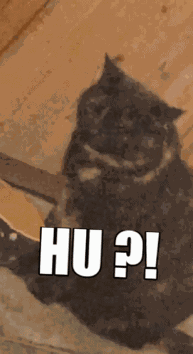 Fat Cat Redwaze GIF