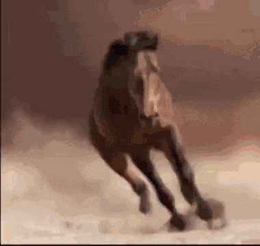 Fat Horse Drinking All Water Of The World GIF