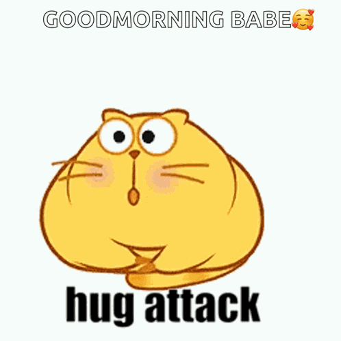 Fatcatzcouple Egg Yolk Cat GIF
