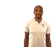 Fcvp Viktoria Plzen Sticker