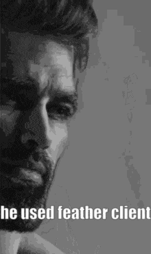 Feather Client Lunar Client GIF