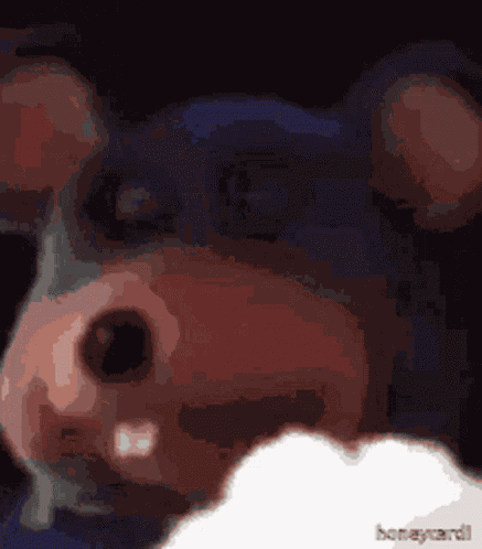 Fedecks GIF