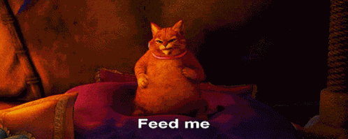 Feed Me GIF