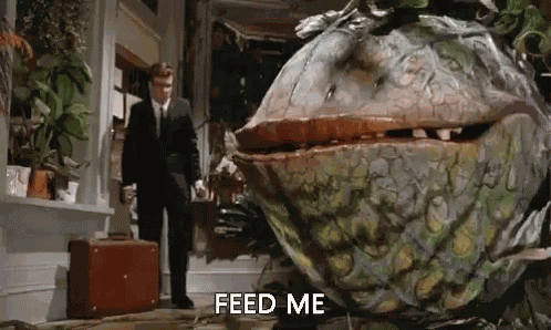 Feed Me Seymour Little Shopof Horrors GIF