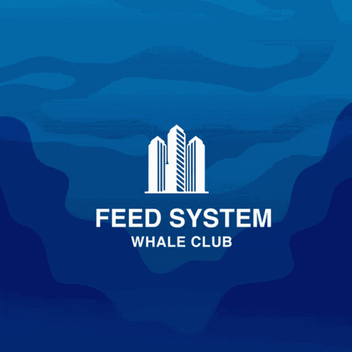 Feedtk Whaleclub GIF