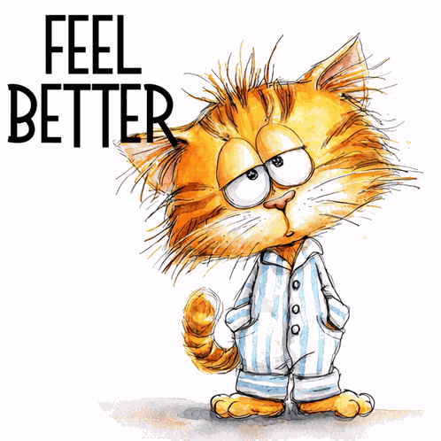 Feel Better Get Well GIF