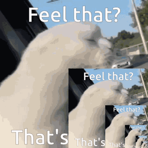 Feel That Thats Feel That Thats Friday GIF