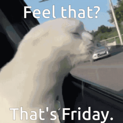 Feel That Thats Friday GIF