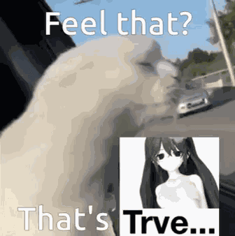 Feel That That'S Trve Jvne GIF