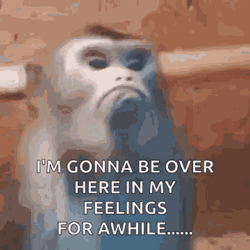 Feelings Mad GIF