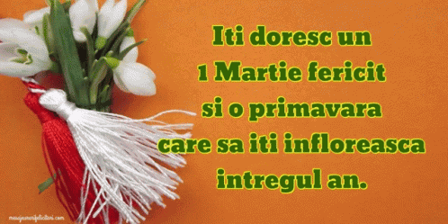 Felicitare Gif GIF