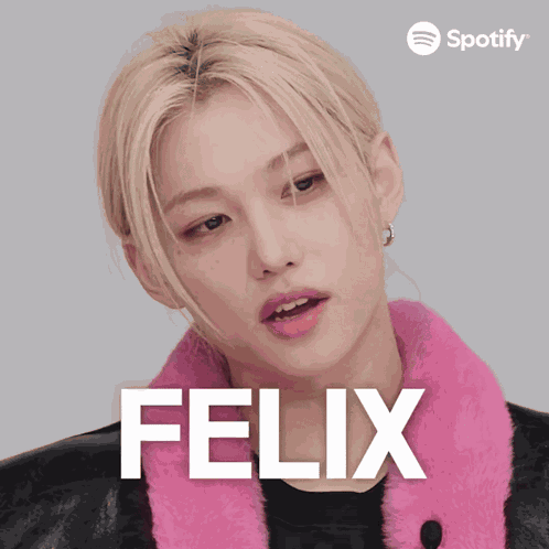 Felix Felix Stray Kids GIF