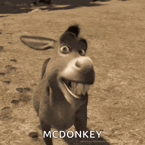 Feliz Alegre GIF