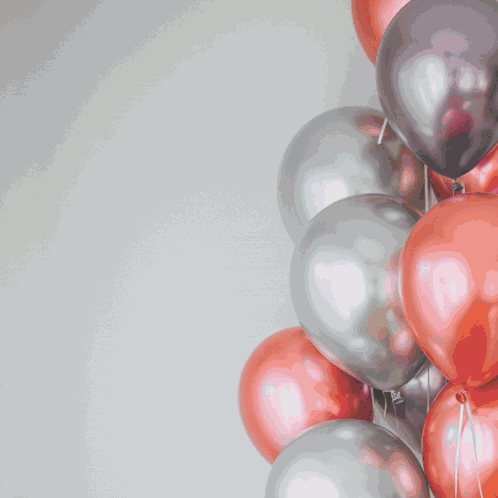 Feliz Cumpleaños Feliz Cumpleaños Siempre GIF