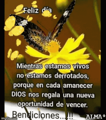 Feliz Dia Amanecer GIF