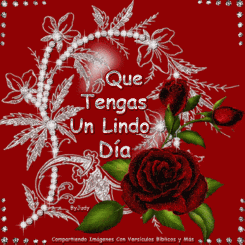 Feliz Dia Buen Dia GIF