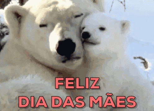 Feliz Dia Das Mães / Urso Polar / Mãe E Filhote GIF