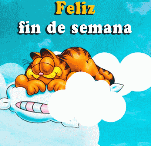 Feliz Fin De Semana GIF