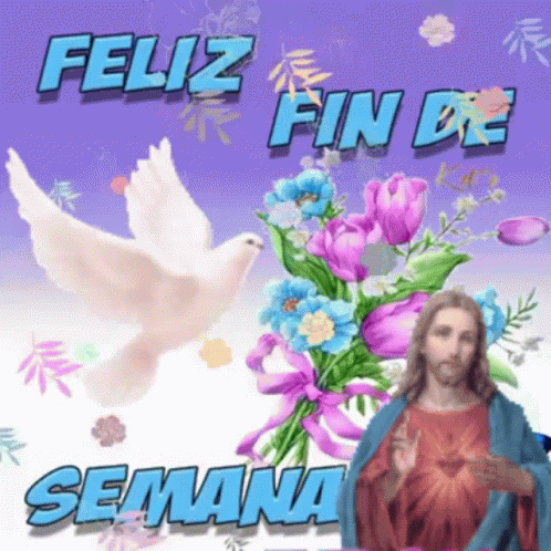 Feliz Fin De Semana Paloma GIF