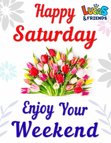Feliz Sábado Saturday Morning GIF