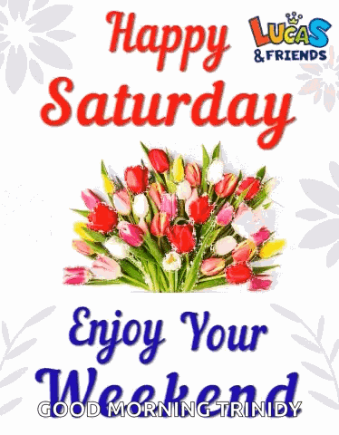 Feliz Sábado Saturday Morning GIF