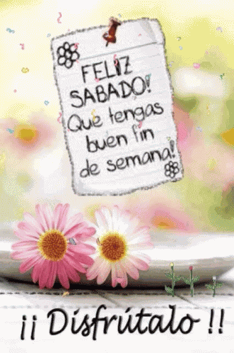 Feliz Sabado GIF