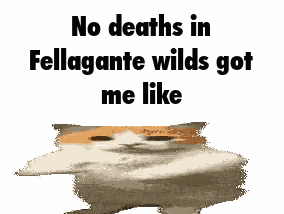 Fella Fellagante Wilds GIF