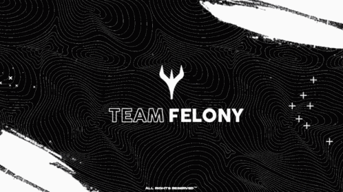 Felony Codm GIF