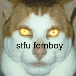 Femboy Meme