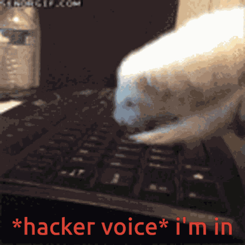 Ferat Dooby3d GIF