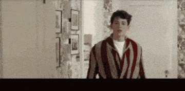 Ferris Bueller Ferris Buellers Day Off GIF