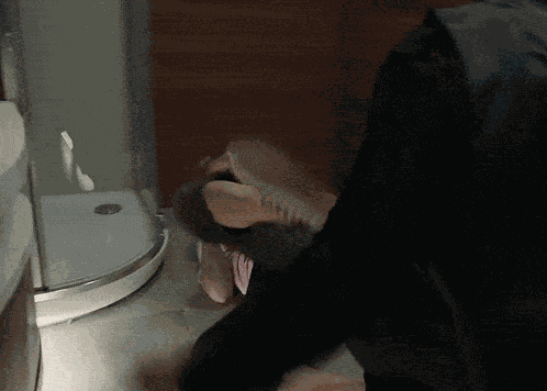 Fight Or Flight Fight Or Flight Movie GIF