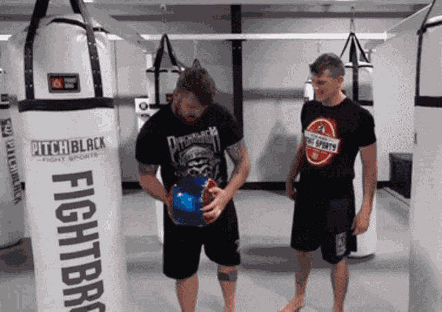 Fight Punch GIF
