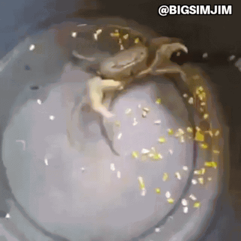 Fighting Crab Crab With A Knife GIF