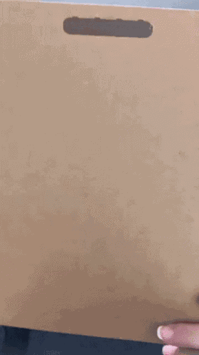 File Peek Peekaboo GIF